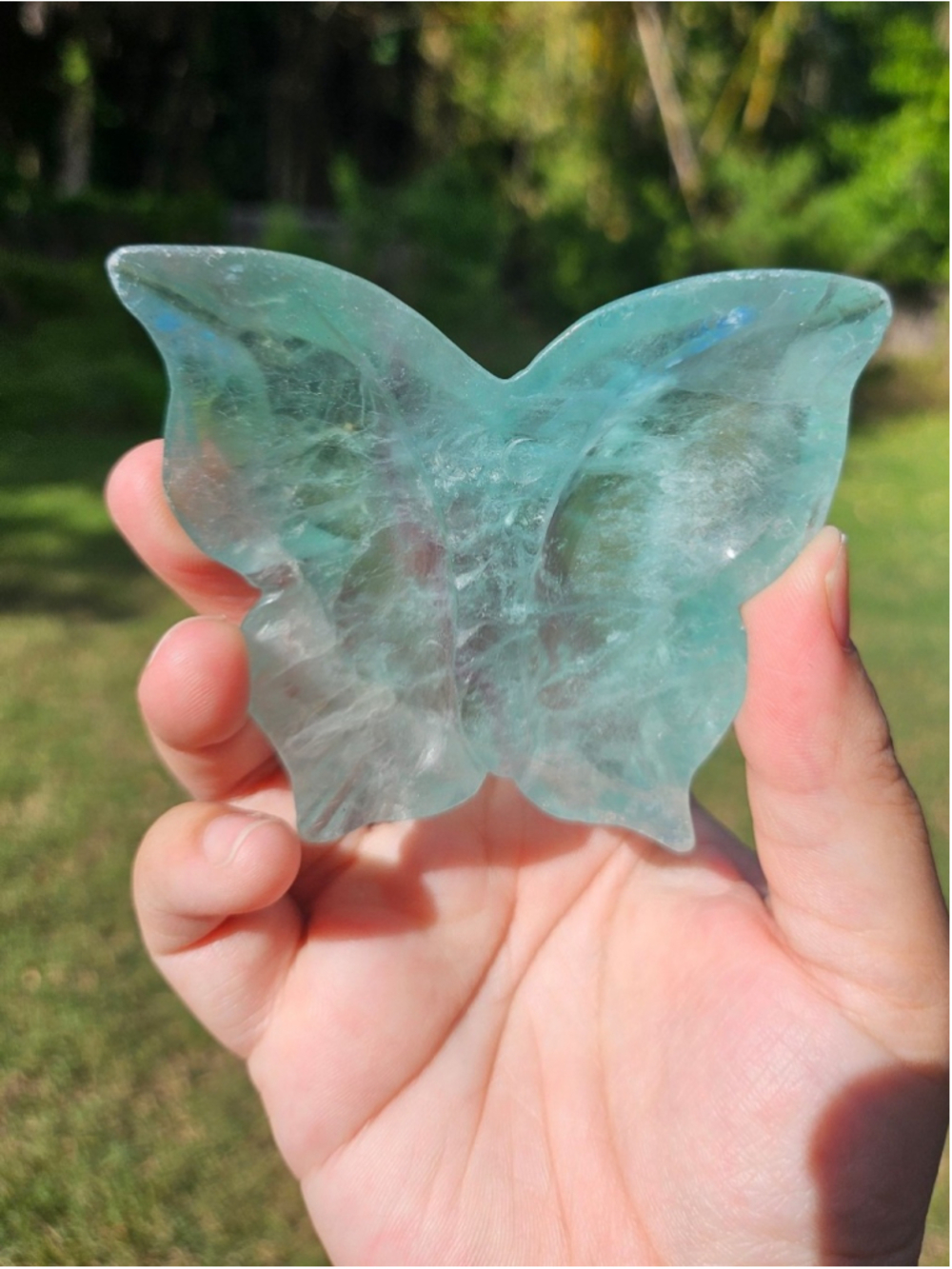 fluorite bowl butterfly 3.3 in